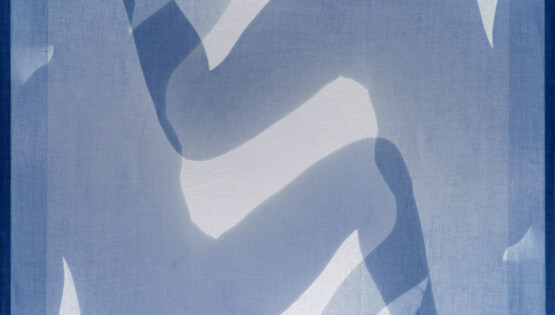 Disembodiedness 030 (Matisse) 2013-2020 stampa su lastre di vetro cm. 100×100 Ed. 5